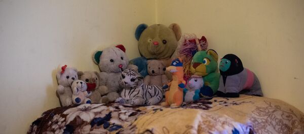 Игрушки детей семьи Саркисянов (14 апреля 2020). село Джрашен Игрушки детей семьи Саркисянов (14 апреля 2020). село Джрашен - Sputnik Արմենիա