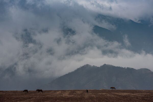 Туманное будущее малой авиации Армении: почему пустует небо над аэропортом в Одзуне Туманное будущее малой авиации Армении: почему пустует небо над аэропортом в Одзуне - Sputnik Армения