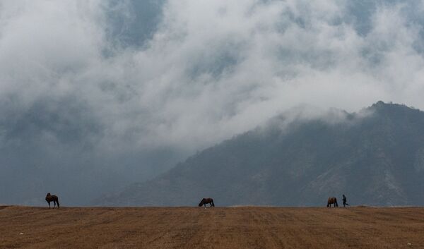 Օձունի օդանավակայանի երկինքն ամպամած է, փոքր ավիացիայի զարգացման ապագան՝ մշուշոտ - Sputnik Արմենիա