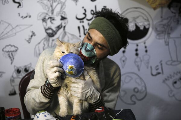 Художник с кошкой в маске в Газе - Sputnik Армения