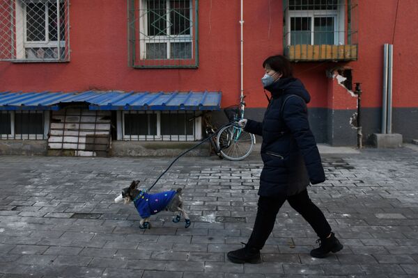 Девушка с собакой в маске в Пекине - Sputnik Армения