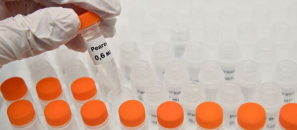 Колбы с реагентами для экспресс-тестов на коронавирус в лаборатории - Sputnik Արմենիա