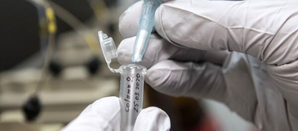 Производство компонентов для тестов на коронавирус в химической лаборатории - Sputnik Արմենիա