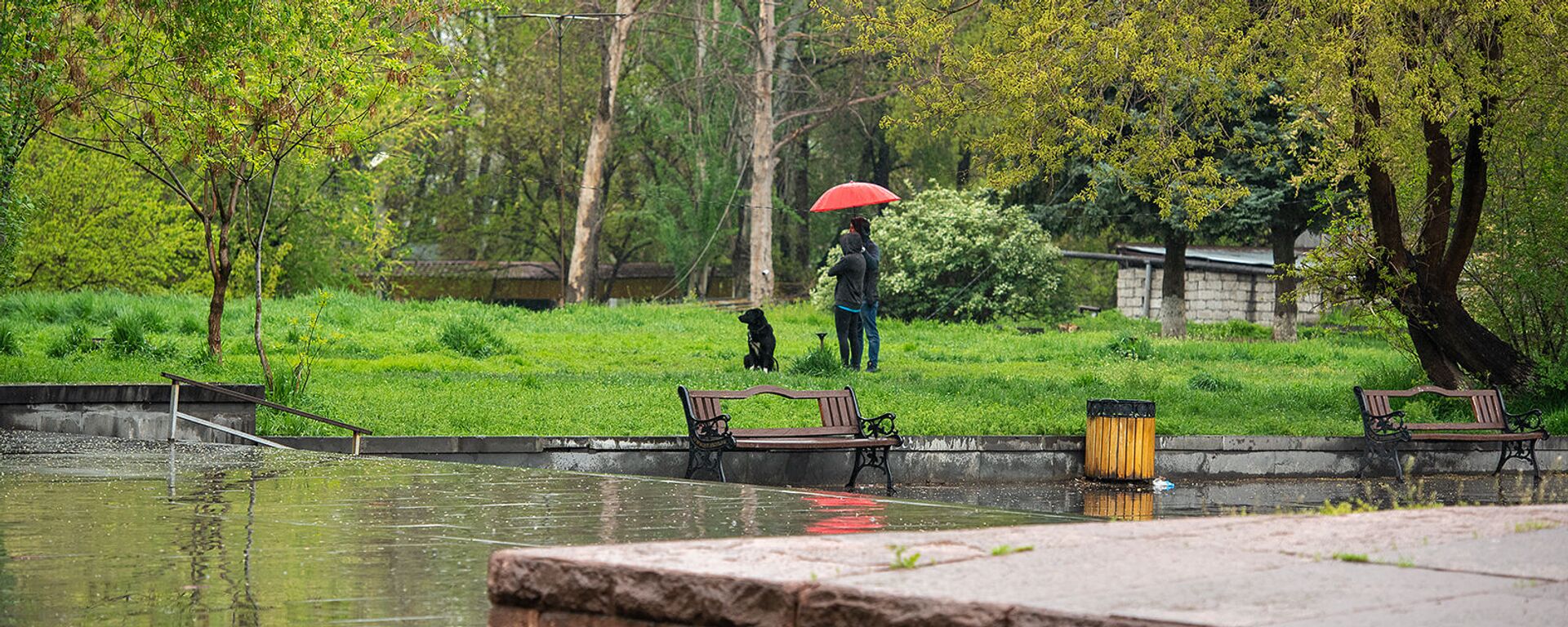 Молодые люди выгуливают собаку в дождливый день - Sputnik Արմենիա, 1920, 19.04.2021