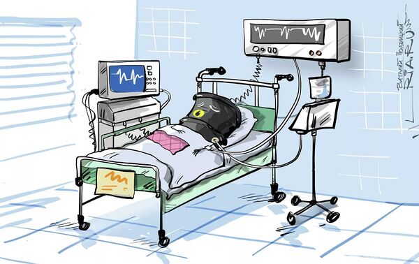 Когда начинается паника, или Почему нефть дешевеет, а бензин нет Когда начинается паника, или Почему нефть дешевеет, а бензин нет - Sputnik Армения