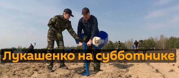 Лукашенко на субботнике Лукашенко на субботнике - Sputnik Армения