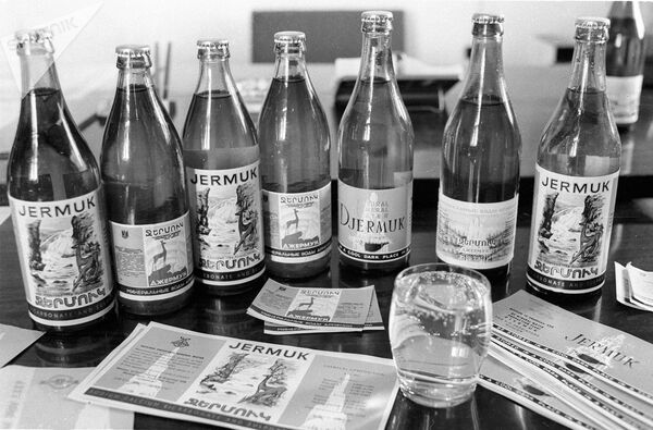 Джермук – больше, чем вода: как русский сын Армении бросил вызов грузинам - Sputnik Армения