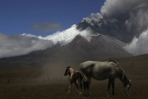 Эквадорский вулкан Котопахи  - Sputnik Армения