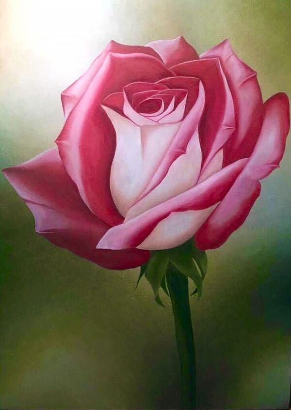 Как яичная скорлупа выводит из депрессии, или Страна грез Шушан Варданян Как яичная скорлупа выводит из депрессии, или Страна грез Шушан Варданян - Sputnik Армения