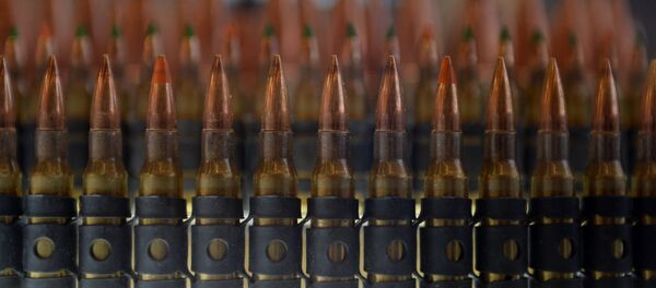 Патроны Патроны - Sputnik Армения