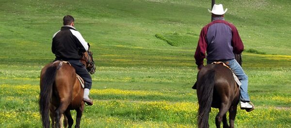 Лошади, деревня Лошади, деревня - Sputnik Արմենիա