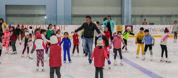 Ледовая арена имени Ирины Родниной - Sputnik Армения