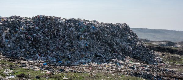 Мусорная свалка в Нубарашене - Sputnik Армения