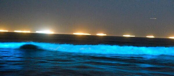 Неоново-синие волны на берегу Ньюпорт-Бич Неоново-синие волны на берегу Ньюпорт-Бич - Sputnik Армения