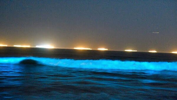 Неоново-синие волны на берегу Ньюпорт-Бич - Sputnik Արմենիա