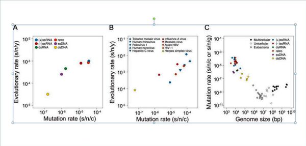 Каким будет лекарство от коронавируса? Ответ армянского вирусолога - Sputnik Армения