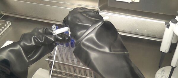 Обучение армянских специалистов в российской лаборатории РБХЗ. Обучение армянских специалистов в российской лаборатории РБХЗ. - Sputnik Армения