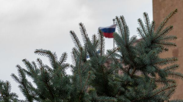 Посадка ели ко Дню Великой Победы во дворе посольства России в Армении (5 мая 2020). Еревaн - Sputnik Արմենիա