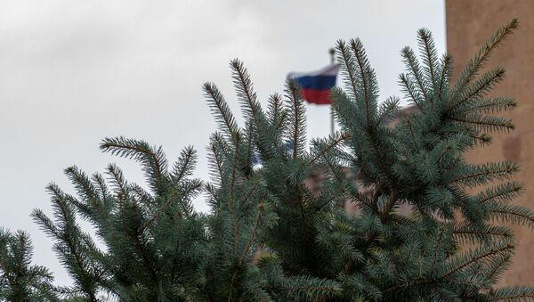 Посадка ели ко Дню Великой Победы во дворе посольства России в Армении (5 мая 2020). Еревaн - Sputnik Армения