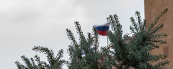 Посадка ели ко Дню Великой Победы во дворе посольства России в Армении (5 мая 2020). Еревaн - Sputnik Армения