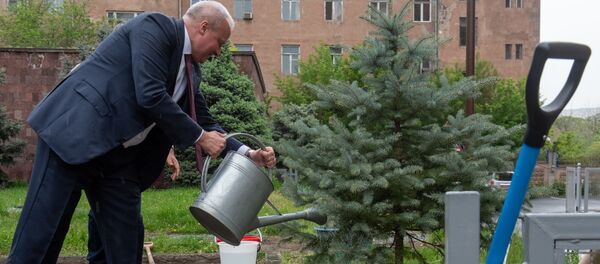 Посадка ели ко Дню Великой Победы во дворе посольства России в Армении (5 мая 2020). Еревaн - Sputnik Армения