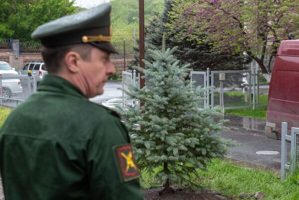 Будет хорошо расти в память о войне: в посольстве России в Армении посадили ель к 9 мая Будет хорошо расти в память о войне: в посольстве России в Армении посадили ель к 9 мая - Sputnik Армения