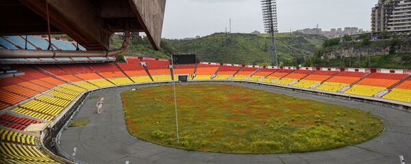 Зацветшее маками поле стадиона Раздан - Sputnik Армения