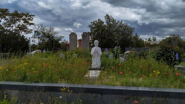 Могила на кладбище Кармир Блур в Ереване - Sputnik Армения