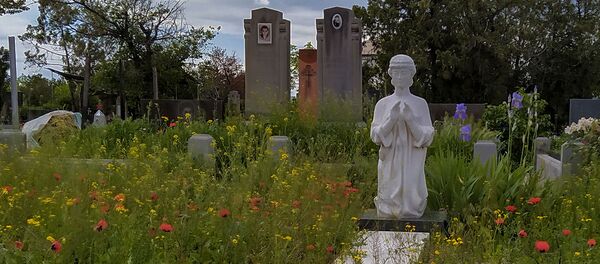 Могила на кладбище Кармир Блур в Ереване - Sputnik Արմենիա