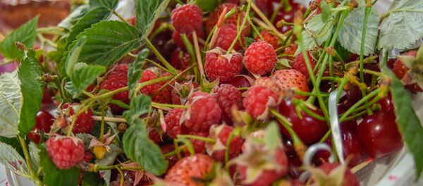 Фестиваль Горной малины Фестиваль Горной малины - Sputnik Армения