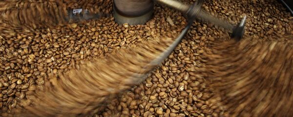 Производство кофе в Московской области - Sputnik Армения