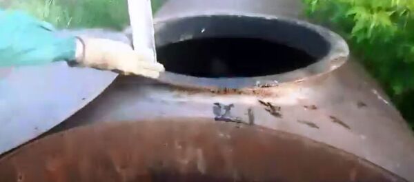 Փրկարարները աղվեսի ձագերին տեղափոխել անվտանգ տարածք - Sputnik Արմենիա