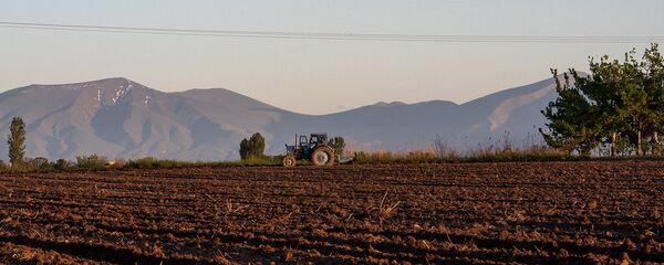 Сельскохозяйственные работы - Sputnik Армения