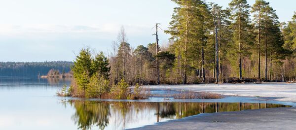 Озеро Лососинное в Прионежском районе Республики Карелия - Sputnik Армения