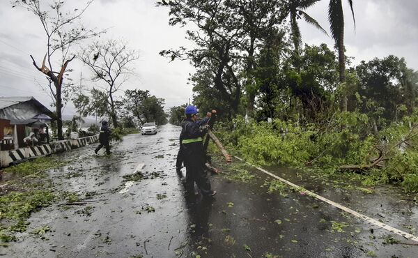 Деревья, поваленные во время тайфуна Вонфон, обрушившегося на центральную часть Филиппин. - Sputnik Армения