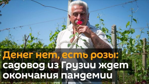 Денег нет, есть розы: садовод из Грузии ждет окончания пандемии - Sputnik Армения