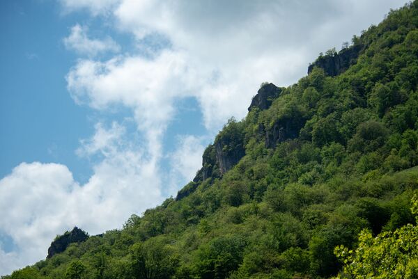 По следам леопарда: почему 85-й факт Пашиняна в Енокаване называют мистером Арманом - Sputnik Армения
