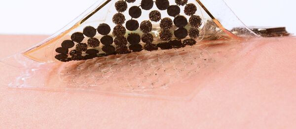 Ученые создали электронную кожу Ученые создали электронную кожу - Sputnik Армения