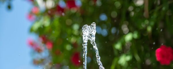 Питьевой фонтанчик - Sputnik Армения