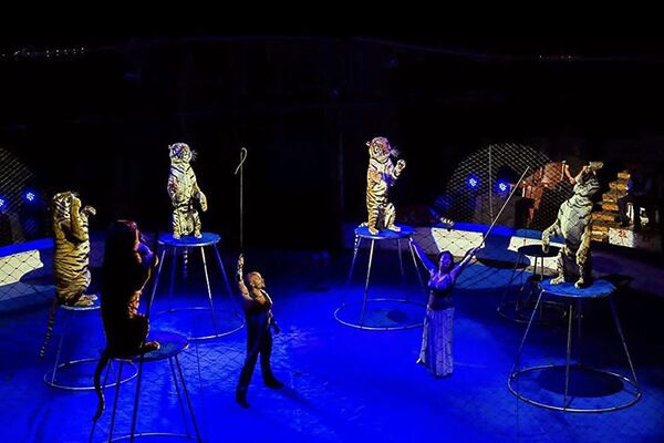 Багдасарову – 75: как армянский мальчик из Баку основал в России династию дрессировщиков - Sputnik Армения