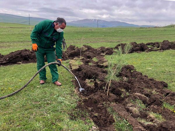 Քարուքանդ ճանապարհները խանգարում են. Արփի լիճն ավելի գրավիչ կդառնա զբոսաշրջիկների համար - Sputnik Արմենիա