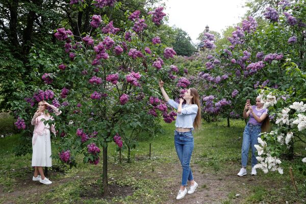 Девушки у цветущей сирени в парке в Киеве, Украина  - Sputnik Армения