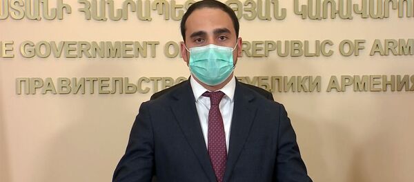 Вице-премьер Тигран Авинян во время брифинга премьер-министра Армении (26 мая 2020). Еревaн Вице-премьер Тигран Авинян во время брифинга премьер-министра Армении (26 мая 2020). Еревaн - Sputnik Армения