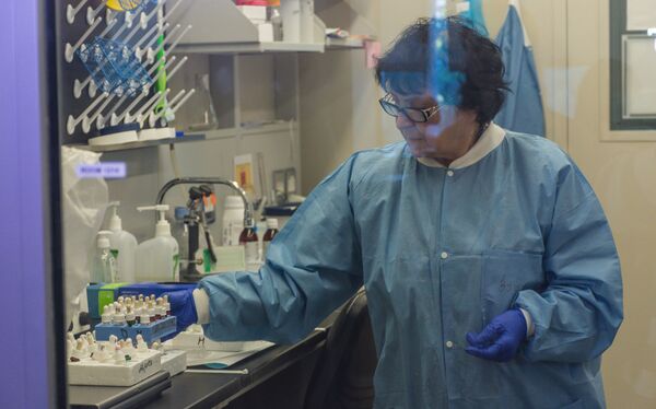 Конспирология, говорите?! Зачем американцам биолаборатории на Кавказе и в Центральной Азии Конспирология, говорите?! Зачем американцам биолаборатории на Кавказе и в Центральной Азии - Sputnik Армения