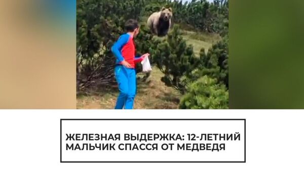 12-летний мальчик спасся от медведя - Sputnik Армения