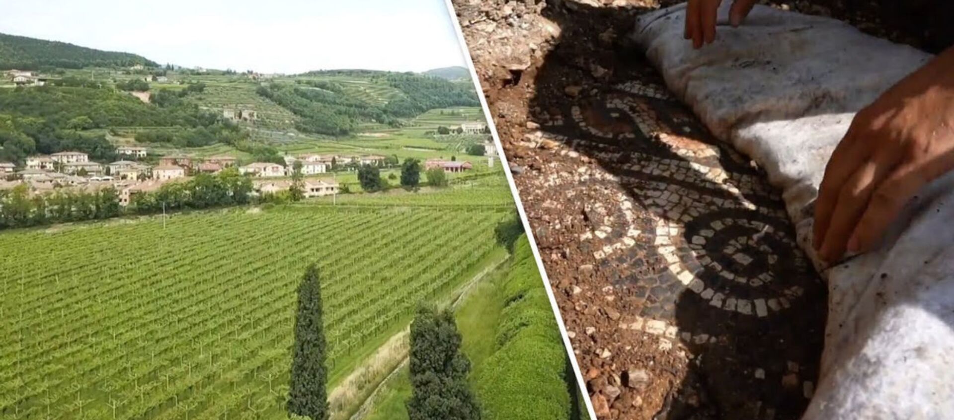 «Крупнейшее открытие года»: итальянские археологи обнаружили античную мозаику под виноградниками - Sputnik Армения, 1920, 31.05.2020