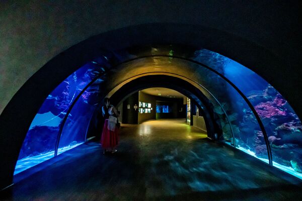 Посетительница аквариума (Acquario Civico di Milano) в Милане - Sputnik Армения