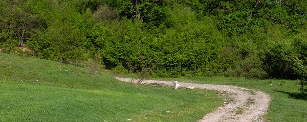 Природа Тавуша - Sputnik Армения