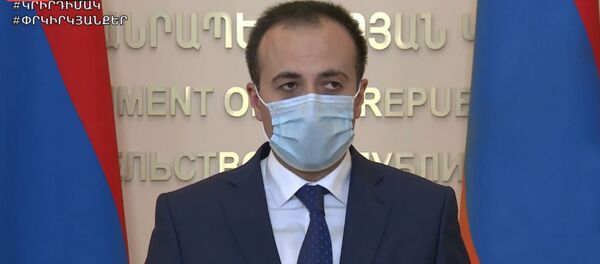 Министр здравоохранения Арсен Торосян во время онлайн брифинга (8 июня 2020). Еревaн - Sputnik Արմենիա