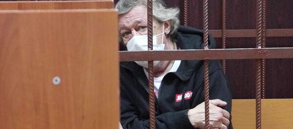 Актер Михаил Ефремов в Таганском районном суде, снимок с видео (9 июня 2020). Москвa Актер Михаил Ефремов в Таганском районном суде, снимок с видео (9 июня 2020). Москвa - Sputnik Армения